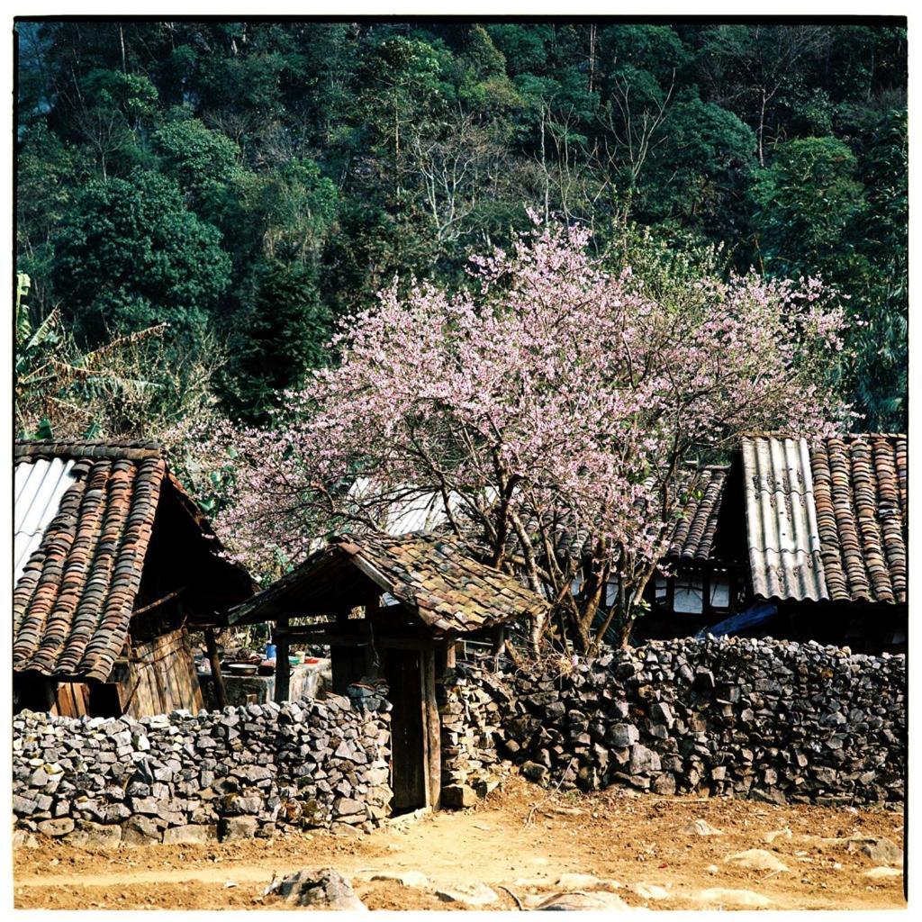 Huyen Tram Guesthouse Донг Ван Екстериор снимка